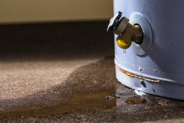 Best Emergency water extraction  in Bridgeport, AL