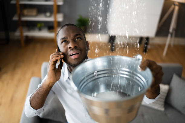 Best Basement water damage restoration  in Bridgeport, AL