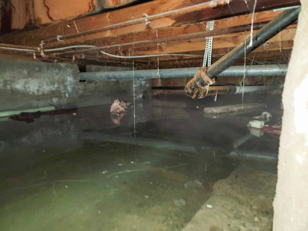 Best 24-hour water damage restoration  in Bridgeport, AL