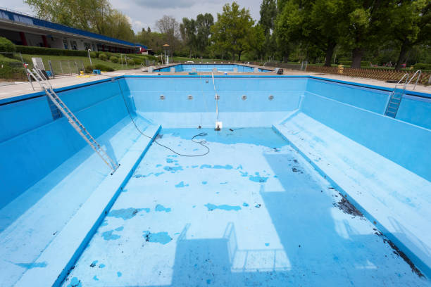Best Water damage cleanup near me  in Bridgeport, AL