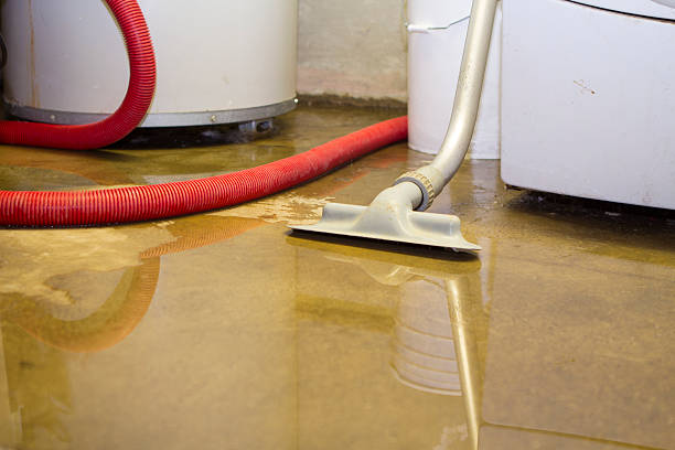 Best Sewage cleanup and water damage restoration  in Bridgeport, AL