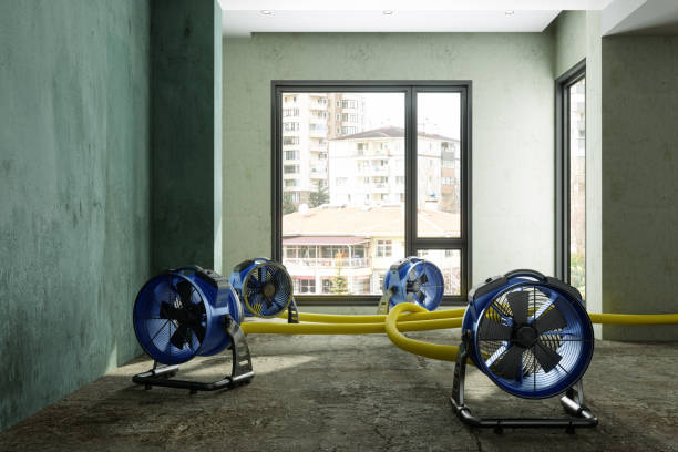 Reliable AL Water damage restoration Solutions