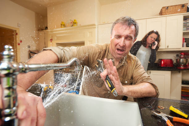Best Water damage restoration process  in Bridgeport, AL